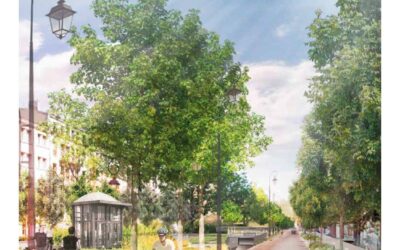 Réhabilitation des Allées Gambetta : Vers un espace partagé alliant nature et convivialité – Clichy (92)