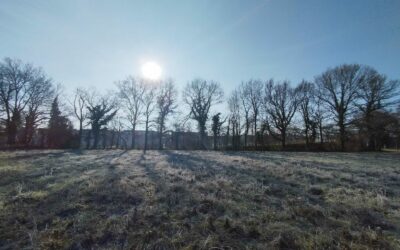 Ateliers des Compagnons : Un lieu de formation ouvert sur le bocage – Bruz (35)